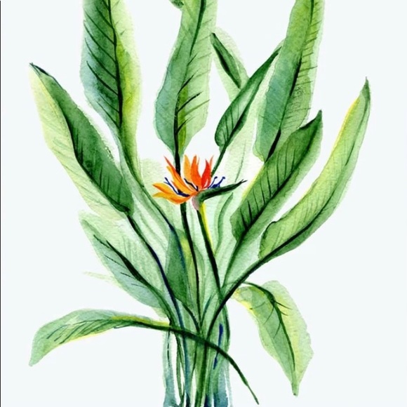 Plant Pattern Wallpaper - Picture 2 of 4